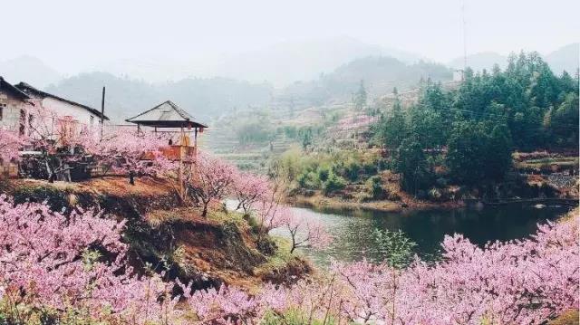 中國(guó)的桃花源和西方的烏托邦，是全人類(lèi)的精神遺產(chǎn)